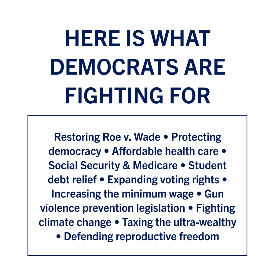 The_Democrats_-_20240729_PLG_DemPolicy_Image_1_DNC.png